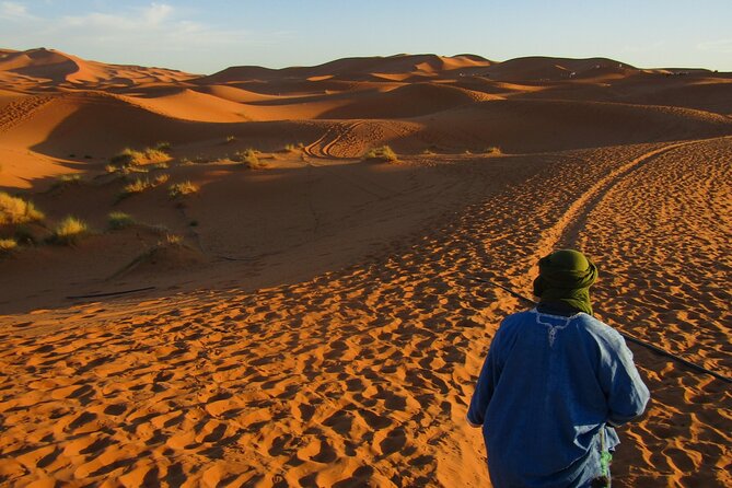 8-Day Tour Morocco, the Great Desert From Costa Del Sol - Key Points