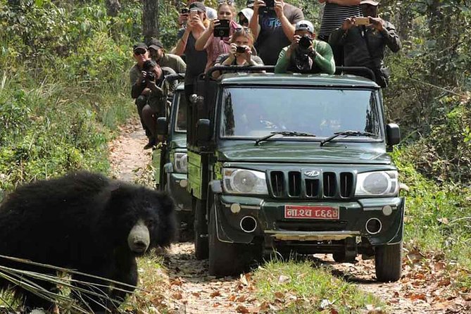 8 Days Nepal Tour (Kathmandu, Pokhara, and Chitwan Tour) - Tour Overview