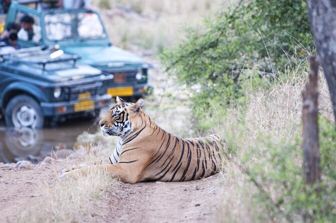 8 Days Private Golden Triangle Tour With Ranthambore - Key Points