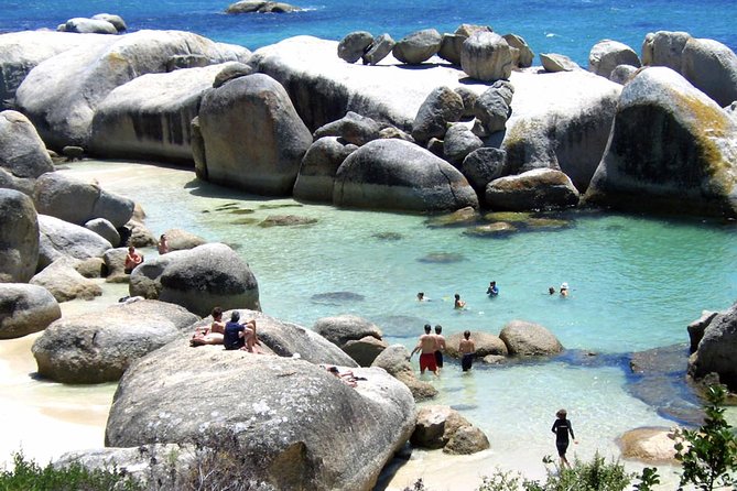 1 Day Cape Point Explore With Boulders Penguins Small Group Tour - Pricing and Discounts