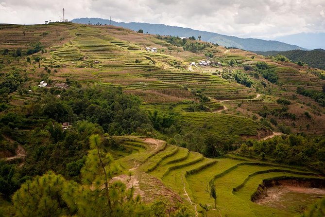 1 Day Kathmandu Valley Biking Tour (Hills, National Parks, Monasteries) - Last Words