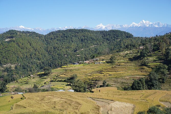 11-Day Private Guided Local Tour in Nepal - Common questions