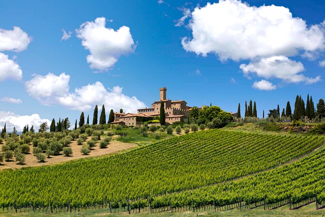 2 Wineries Chianti Wine Tasting & Vineyards Walk Private Tour - Common questions