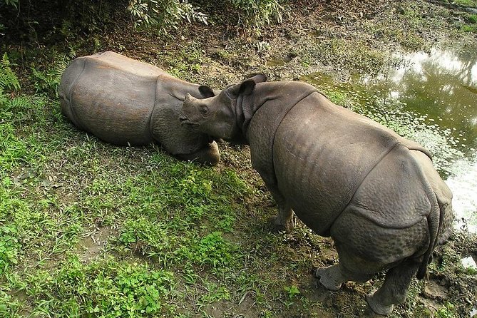 3-Day Chitwan Jungle Safari Tour From Kathmandu - Additional Terms and Conditions