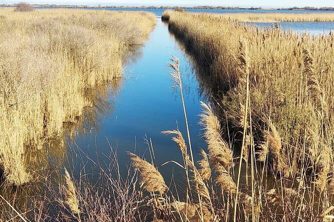 8 Hours Visit to the Camargue and the Salins D'Aigues-Mortes - Booking Information