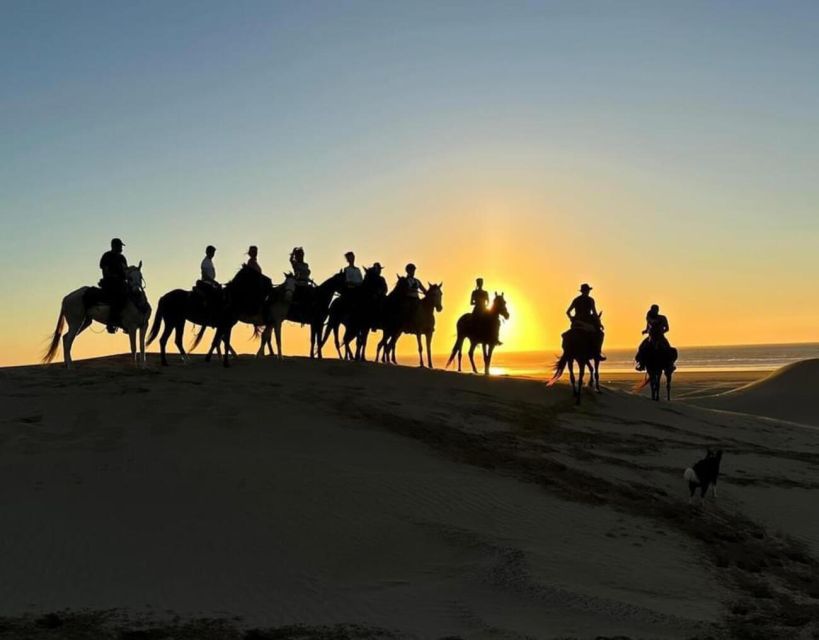 Agadir and Taghazout: 2-Hour Sunset Beach Horseback Ride - Common questions