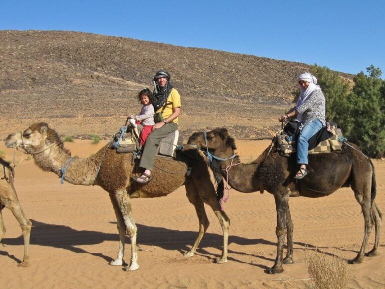 Agadir: Camel Ride With Tea in Falamingos River