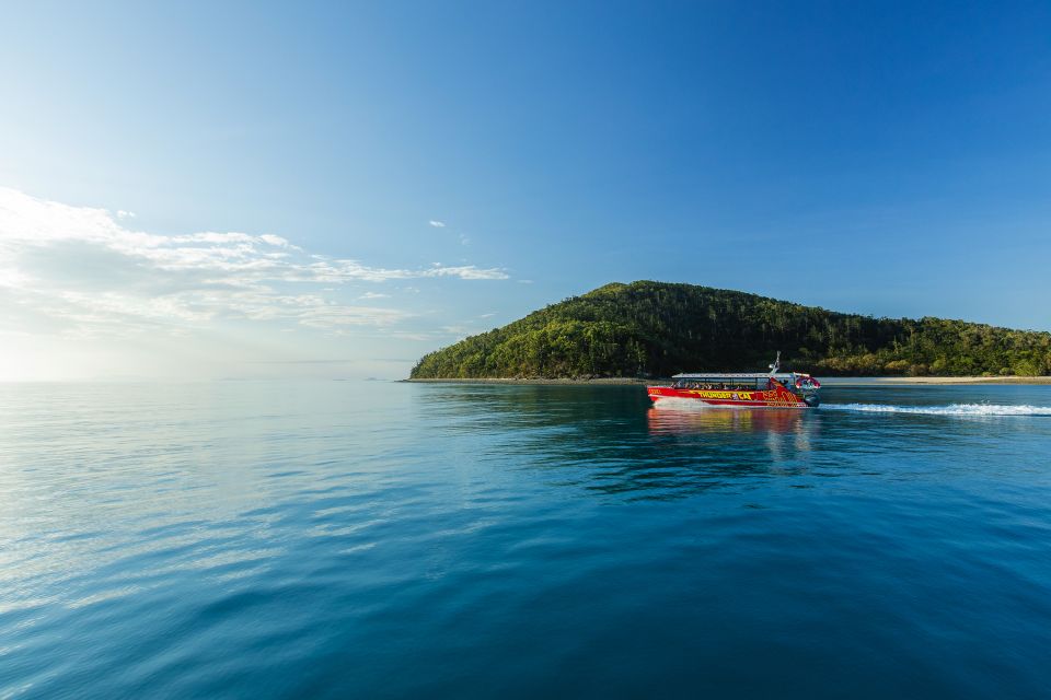 Airlie Beach: Whitehaven Full-Day Eco-Cruise With Buffet - Last Words