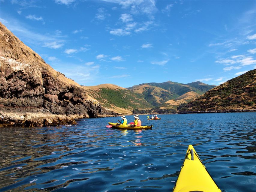 Akaroa: 4WD Safari and Guided Sea-Kayaking Experience - Last Words