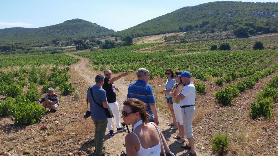 Athens: Private Wine Tour and Lunch at the Seaside - Common questions