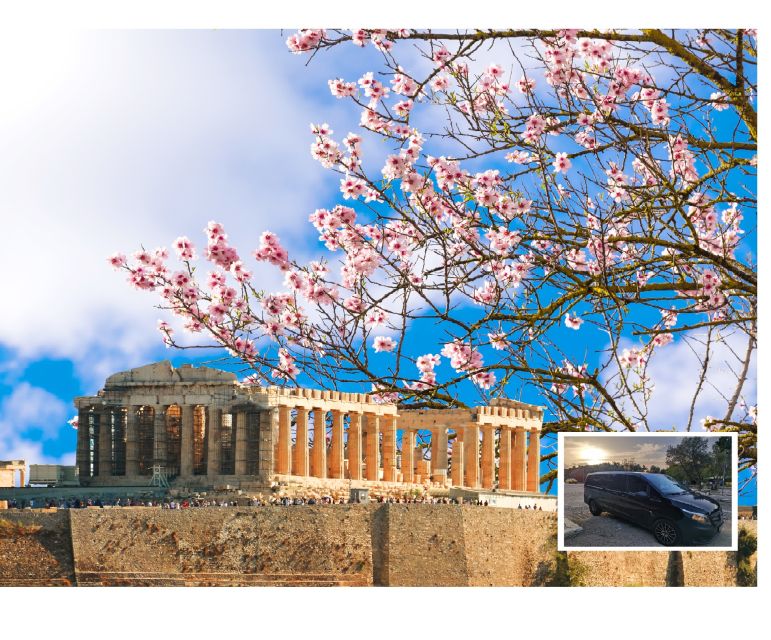Athens: Wheelchair Accessible Top Sights Half-Day Tour - Common questions