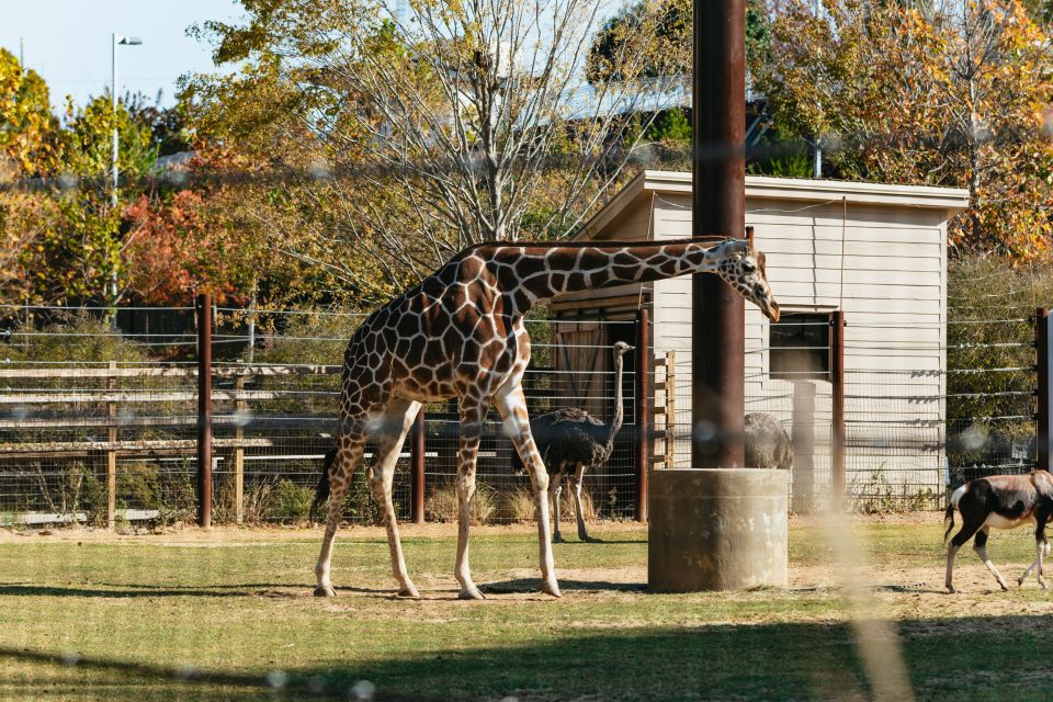 Atlanta: Zoo Atlanta General Admission Ticket - Additional Information