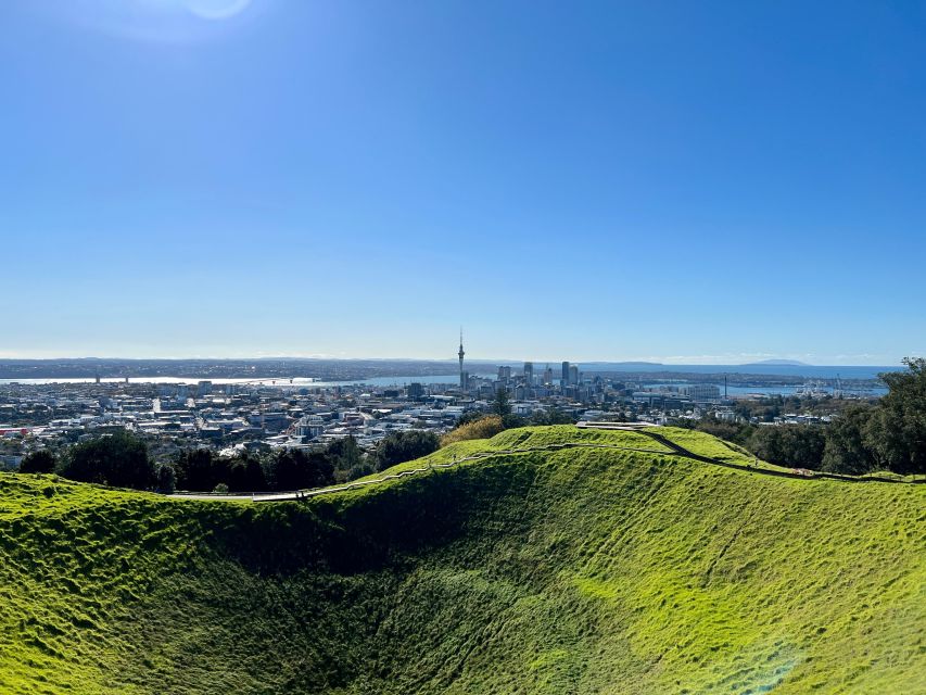 Auckland: City Sightseeing and Explore Piha Beach - Review Summary and Ratings