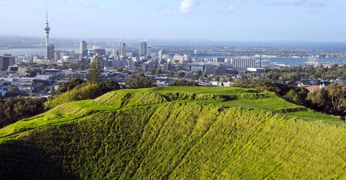 Auckland Scenic Half-Day City Sightseeing Tour - Customer Experience