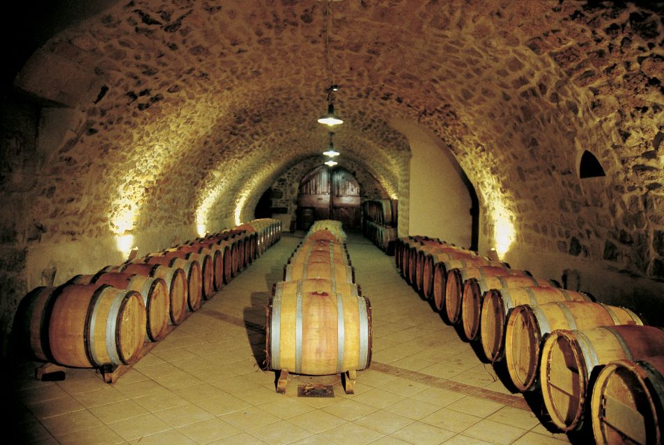 Avignon: Full-Day Wine Tour Around Châteauneuf-Du-Pape - Last Words