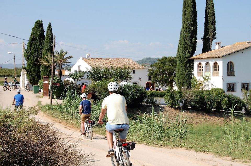 Barcelona: Bike & Wine Guided Tour - Penedès Vineyards - Additional Information