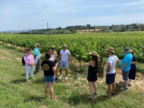 Barcelona: Montserrat With Winery Visit and Farmhouse Lunch - Last Words