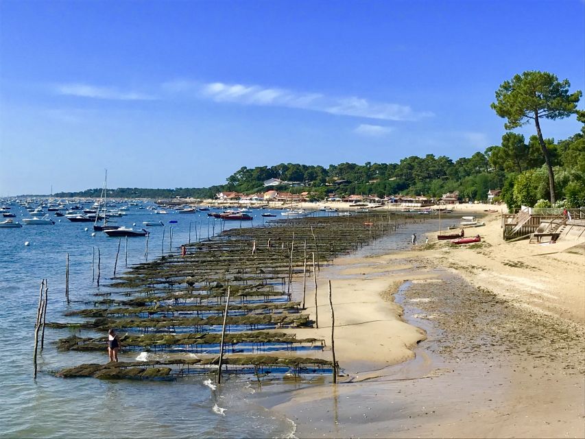 Bay of Arcachon: Guided Food Tour - Last Words