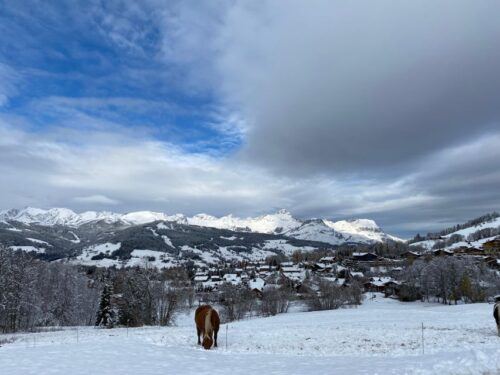 Bespoke Private Tour Megève - Day Trip With Host - Last Words