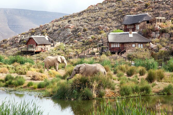 Big 5 Aquila Safari Full Day Tour With Nederburg Wine Tasting - Pricing Details