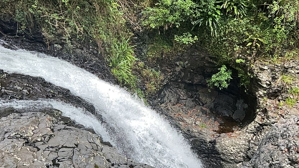 Brisbane: Springbrook and Mt Tamborine Rainforest Day Tour - Common questions