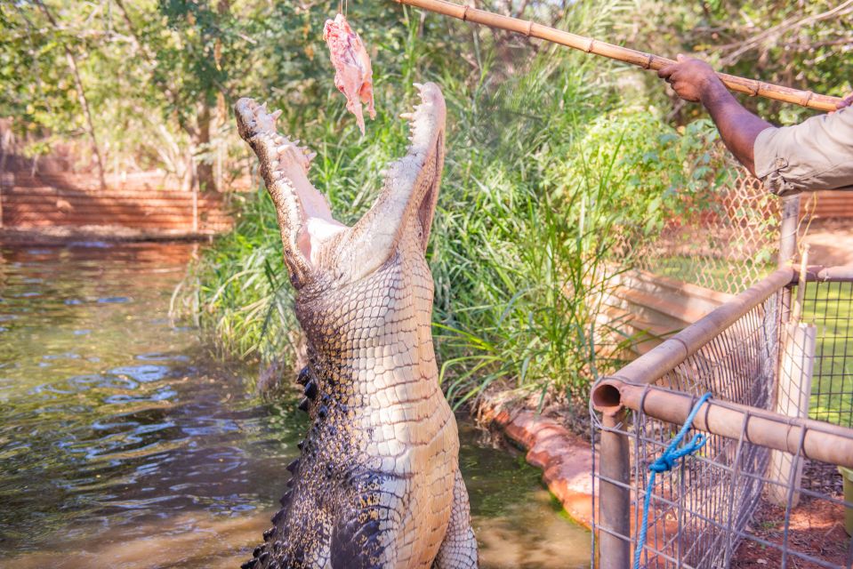 Broome: Malcolm Douglas Crocodile Park Tour With Transfers - Last Words