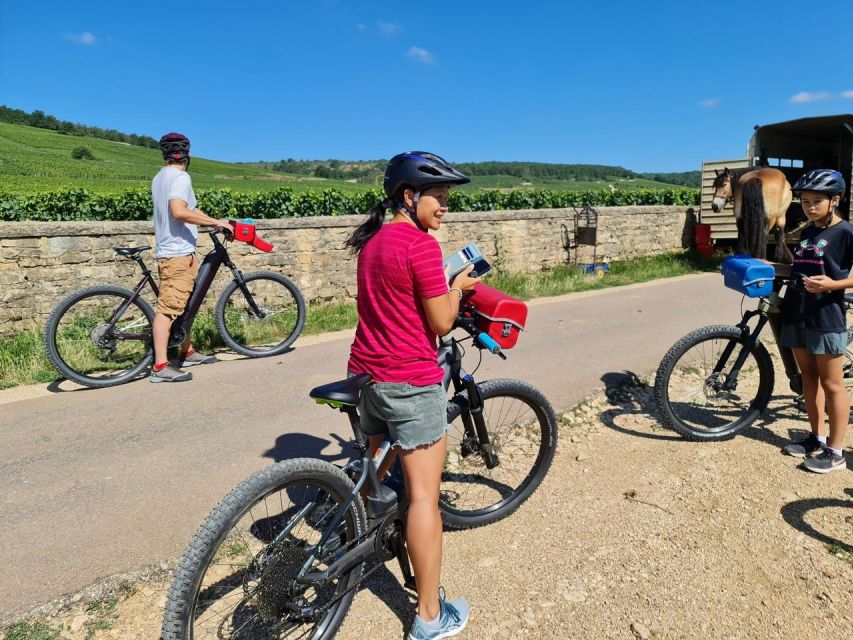 Burgundy: Fantastic 2-Day Cycling Tour With Wine Tasting - Wine Tasting Experience and Highlights