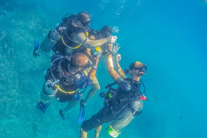 Cabo San Lucas Beginner Scuba Diving Experience - Common questions