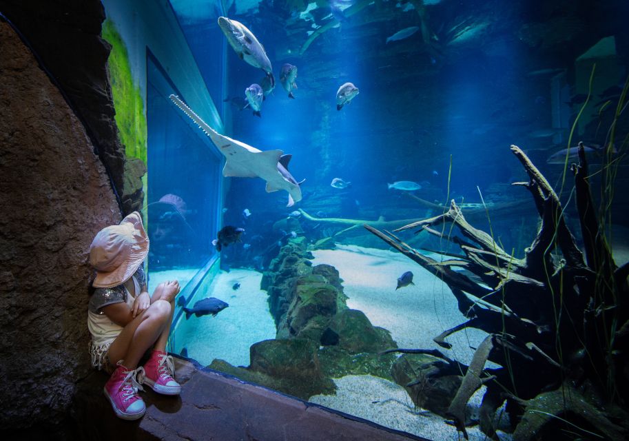 Cairns Aquarium General Admission Ticket - Ticket Booking and Cancellation Policy