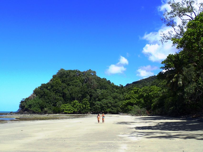 Cairns: Cape Tribulation, Beaches, Crocs & Swimming Day Tour - Last Words