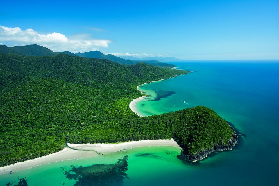 Cairns: Daintree and Mossman Gorge Tour With Cruise Option - Common questions