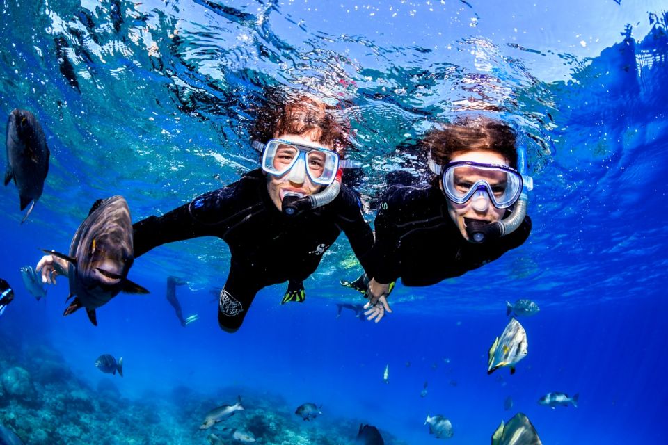 Cairns: Great Barrier Reef Scuba Diving Tour - Last Words