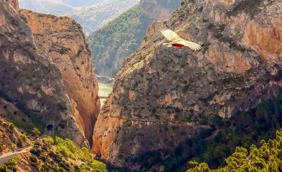 Caminito Del Rey: Entry Ticket and Guided Tour - Last Words