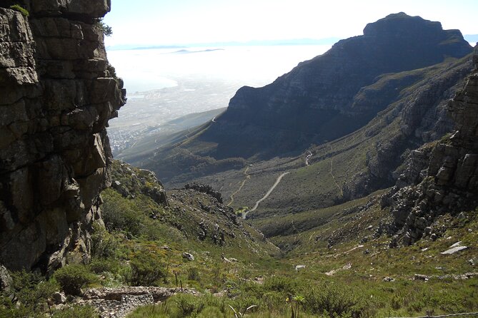 Cape Town: Platteklip Gorge Half-Day Hike on Table Mountain - Contact and Enhancements