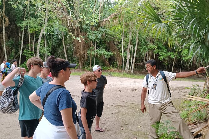 Chacchoben Mayan Ruins Excursion - Common questions
