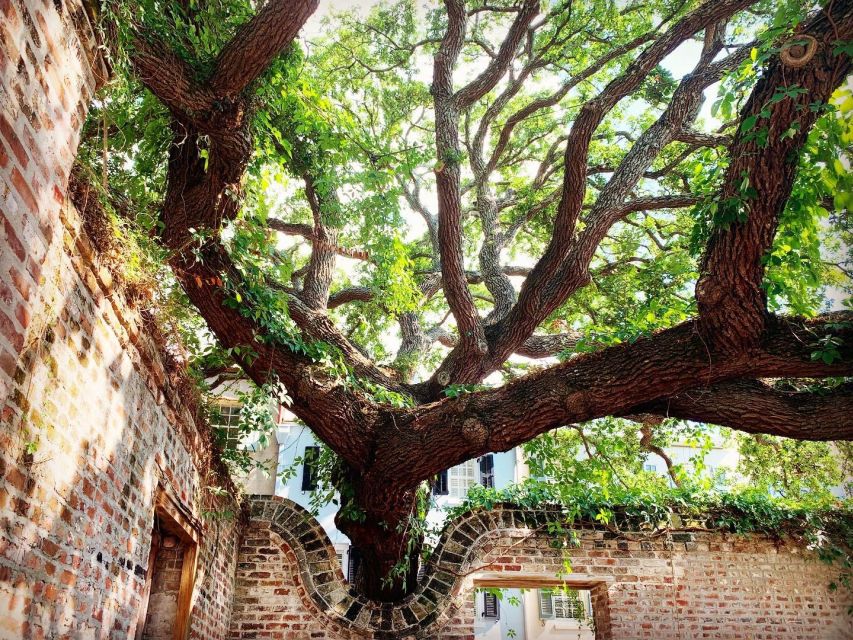 Charleston: Hidden Alleyways Walking Tour With Museum Ticket - Last Words