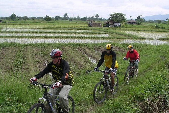 Chiang Mai Rice Fields Biking Tour