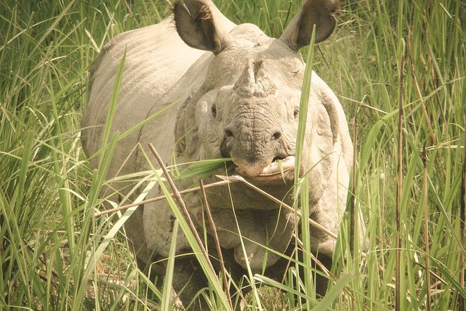 Chitwan Jungle Safari Tours - Transportation Information