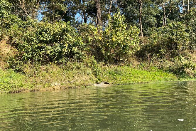 Chitwan Jungle Safari With Overnight Stay - Key Points