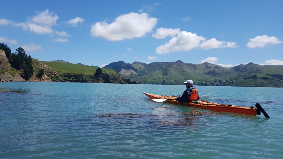 Christchurch: Sea Kayaking Tour of Lyttelton Harbour - Last Words