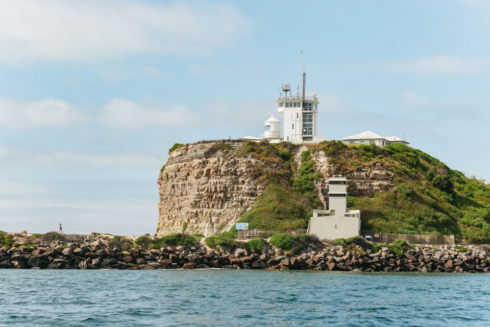 Coastal 2.5-Hour Adventure Boat Tour From Newcastle - Common questions