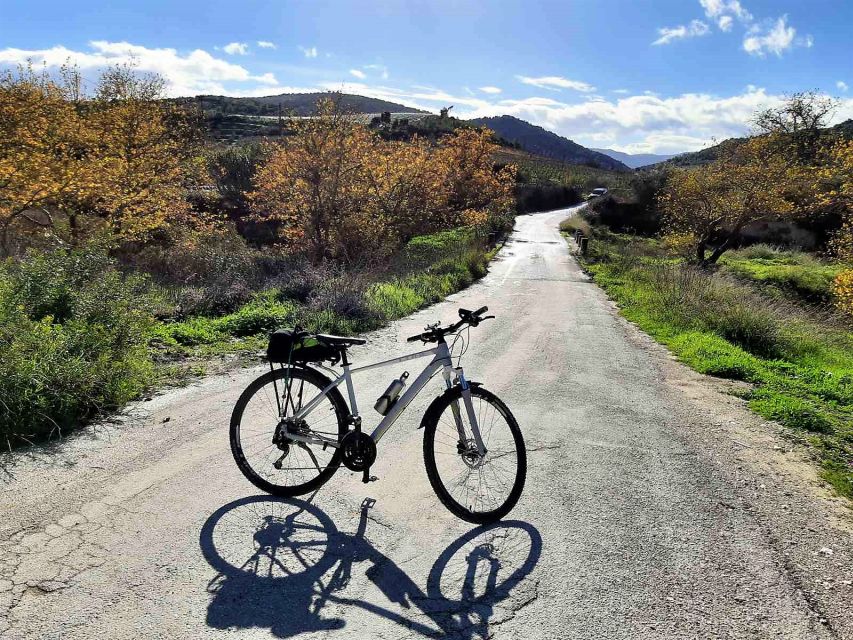 Corinth & Nemea: Guided E-Bike Tour With Wine Tasting - Common questions