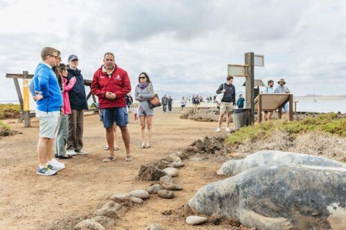 Corralejo: Sail for Lobos Island With Drinks and Snorkeling - Common questions