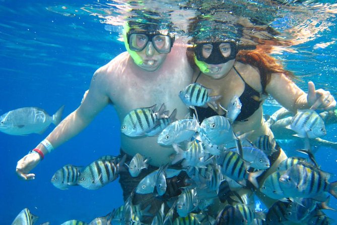Cozumel Coral Reef Snorkeling by Glass Bottom Boat With Guide - Last Words