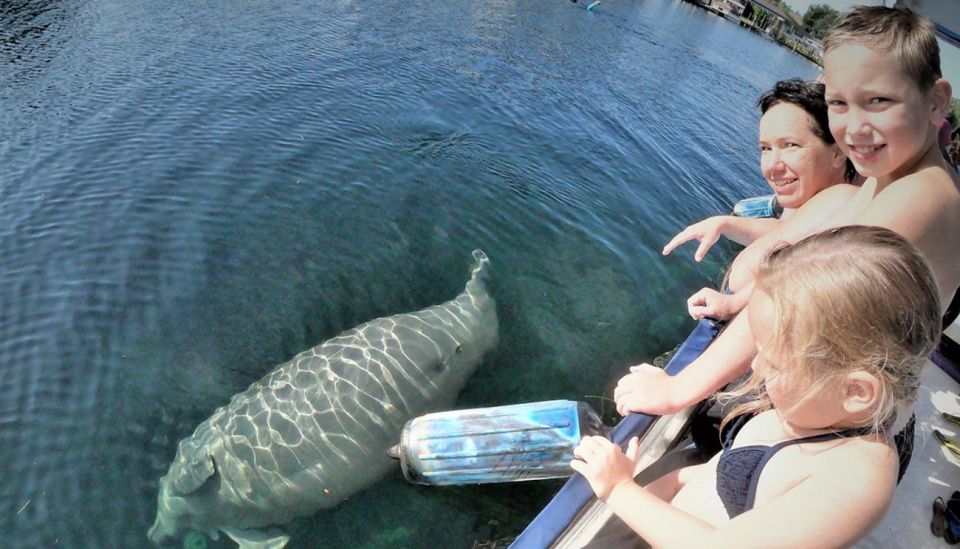 Crystal River: Manatee Viewing Cruise - Last Words