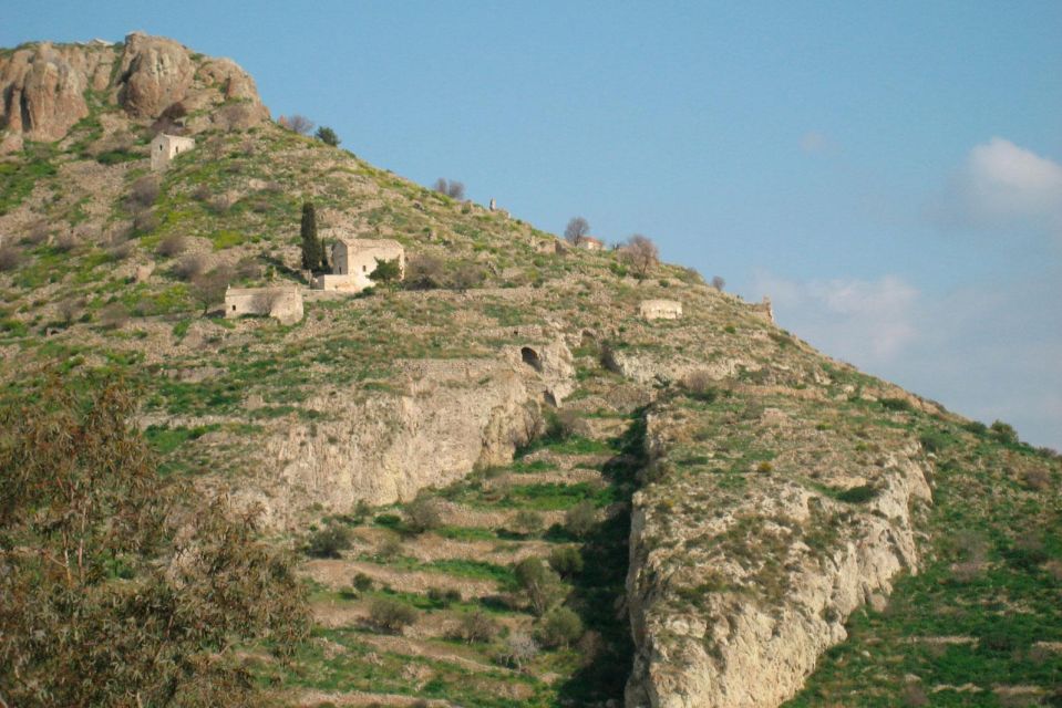 Daily Tour on Aegina - Last Words