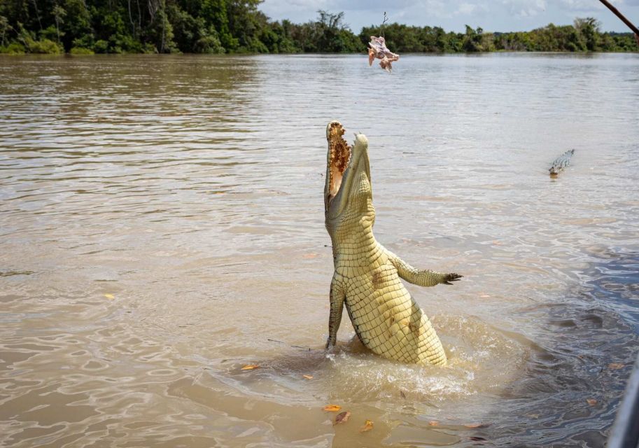 Darwin: The Croc Bus to the Famous Jumping Crocodile Cruise - Review Summary