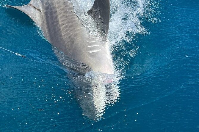 Deep Sea Fishing Charters in Fort Lauderdale Aboard 52 Hatteras - Confirmation and Accessibility