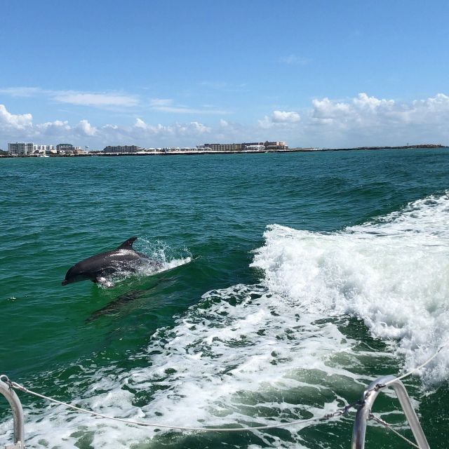 Destin: Dolphin Watch Cruise - Last Words