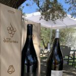 8 diamantakis private winery visit and tasting of 6 wine labels Diamantakis Private Winery Visit and Tasting of 6 Wine Labels